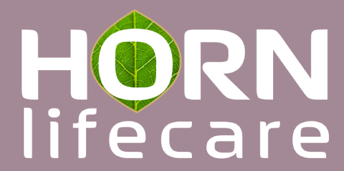 Horn lifecare GmbH